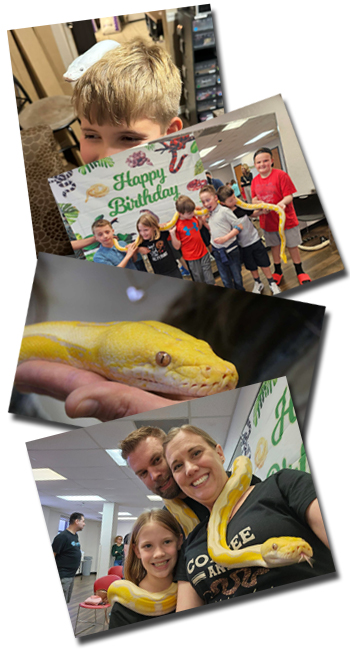 Book your reptile party today!